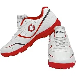 Academy White/Red Cricket Shoes Size-6 with TR-555-W Cricket Leather Ball Alum Tanned White