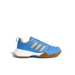 Adidas Men's INDOOR SWING Blue Indoor Court Shoes