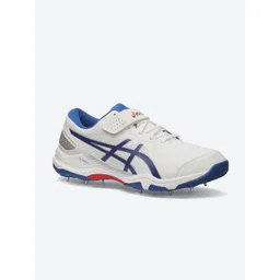 ASICS Men Speed Menace FF Cricket Shoes