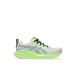 Asics Men's Birch & Lime Green Running Shoes