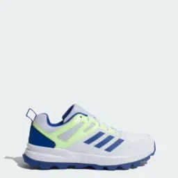 cri rise v2 m men cricket men cricket