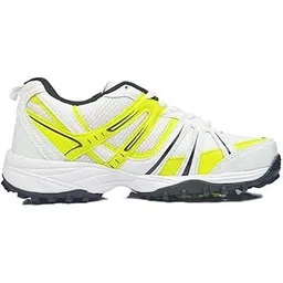 Cricket Rubber Spike Shoes (Imported)