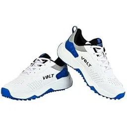 Cricket Shoes for Men & Boys Sports Shoes for Lightweight, Ergonomic Fit Sports Shoes Match Shoes for Practise