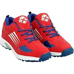 Cricket Shoes for Men