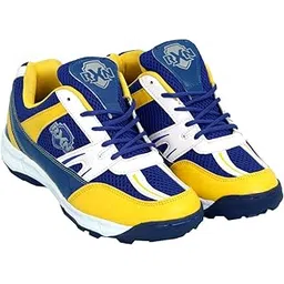 Cricket Shoes for Mens