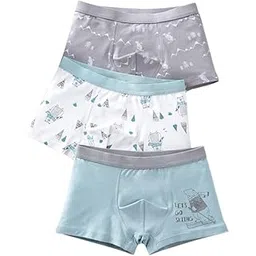 Dorakitten Boy Underwear Cotton Breathable 3 Pairs Modern Elastic Stretchy Fashion Brief Panty Trunk Underwear Boxer
