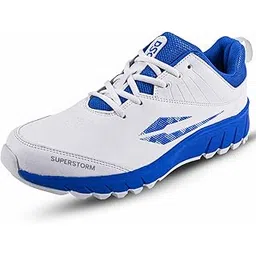 DSC Super Storm Cricket Shoes for Mens