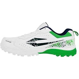 DSC Zooter XT Cricket Shoes for Mens