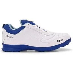Easter V24 Cricket Shoes