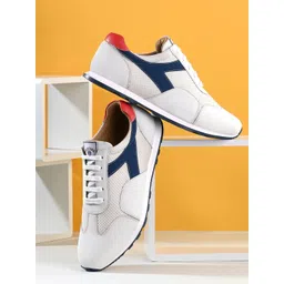 Harvard Men White Colourblocked Sneakers