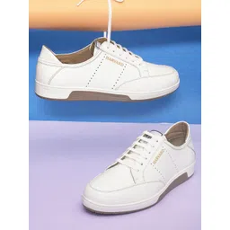 Harvard Men White Colourblocked Sneakers