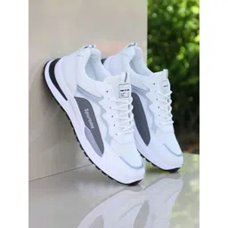 Lejano Men Colourblocked Sneakers