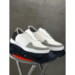 Mast & Harbour Men Green Colourblocked Sneakers