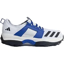 Men Cricup 23 M Cricket Shoe