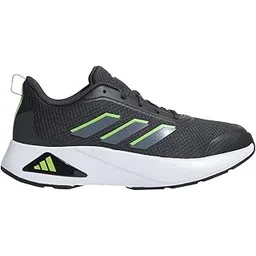 Men Zapid Running Shoe