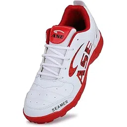 Men's Professional Cricket Shoes