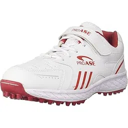 Professional Cricket Shoes for Men.