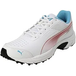 Puma Mens Cricket Power 2.0 Cricket Shoe