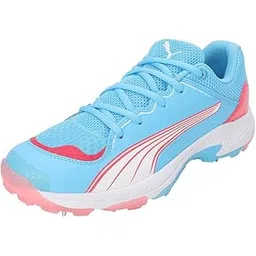 Puma Unisex-Adult Spike 24.1 Cricket Shoe