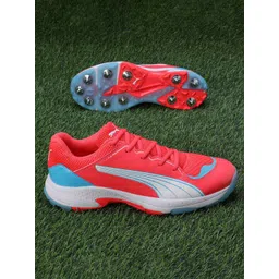 Puma Unisex Spike 24.1 Cricket Shoes