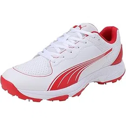 Puma Unisex Spike 24.2 Cricket Shoe