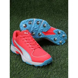 Puma Unisex Spike 24.2 Cricket Shoes