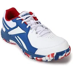 Reebok Men's Cricket Brilliance Cricket Sports Shoes White, 12