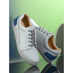 San Frissco Men Grey Casual Sneakers