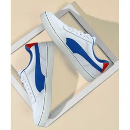 SkateCat Drift Sneakers For Men