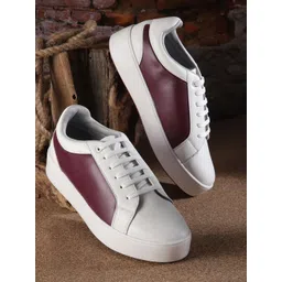 The Roadster Lifestyle Co. Women Colourblocked Round-Toe Sneakers